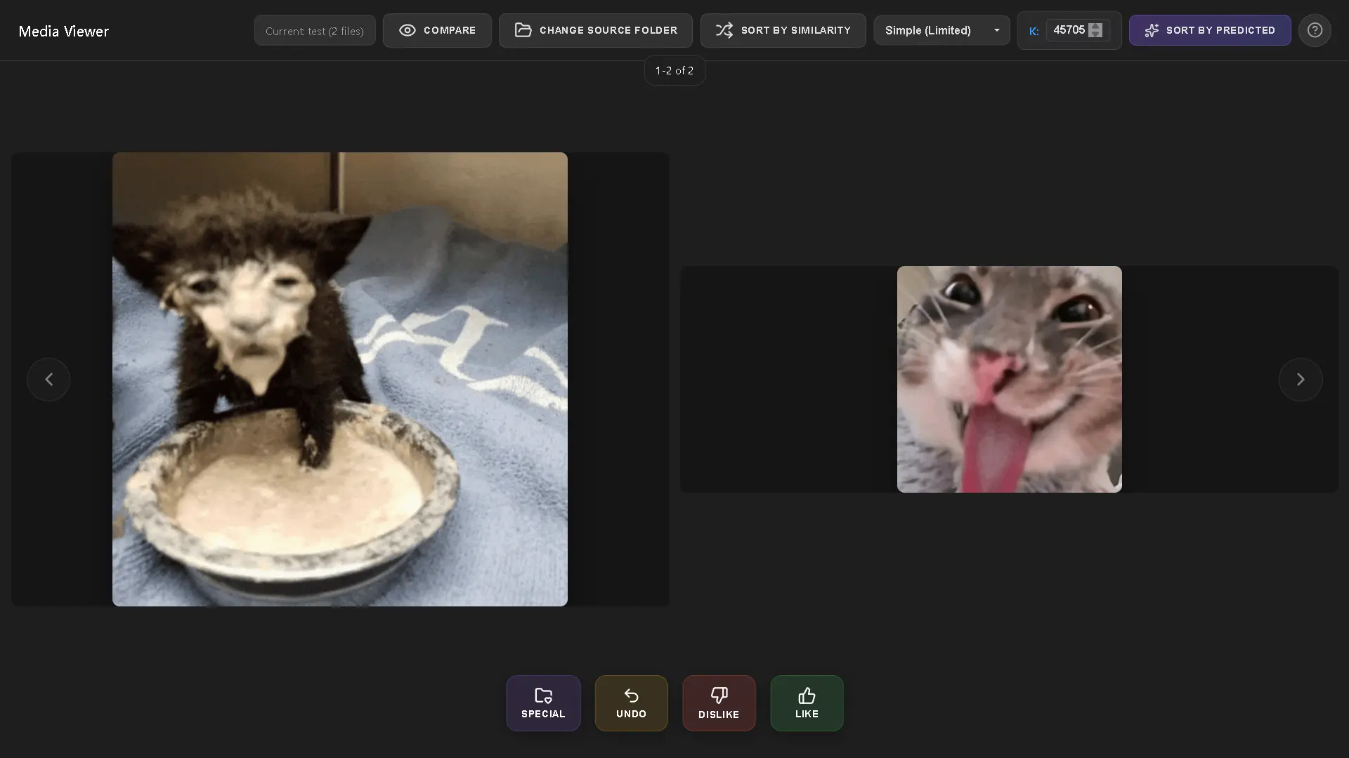 Media viewer desktop application interface